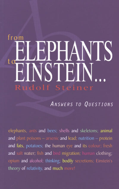 From Elephants to Einstein...