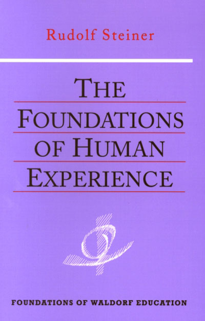 The Foundations of Human Experience